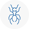 Ant Removals In Chichester