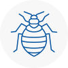 Bed Bug Extermination In Chichester