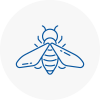 Bee Nest Removal Chichester