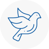 Bird Prevention Chichester