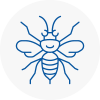 Chichester Hornet Nest Removals