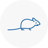 Mice Exterminators In Chichester