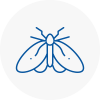 Moth Control Specialists In Chichester