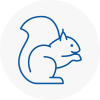 Chichester Rodent Removals